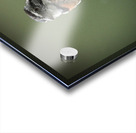 Perched in the Green Mist Impression Acrylique