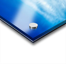 Skyfire Starling Impression Acrylique