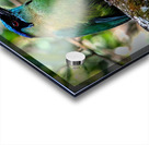 Jungle Jewel Acrylic print