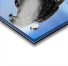 Sky Monarch Impression Acrylique