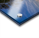 Palm-Framed Sunset Impression Acrylique