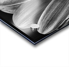 Bloom Impression Acrylique