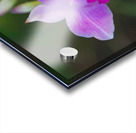 Purple Orchid Pair Impression Acrylique