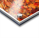 Autumn Carpet Impression Acrylique