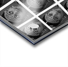 Expressions of Joy Acrylic print