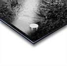 Nature’s Driftwood Sculpture Impression Acrylique