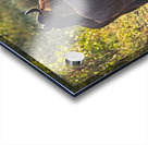 Wildebeest Pair Acrylic print