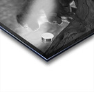 Baboons in Morning Light Impression Acrylique