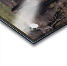 Mud Bath Joy Acrylic print