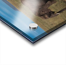 Elephant Family Gathering Acrylic print