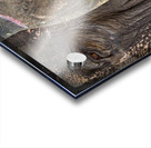 Ancient Companions Acrylic print