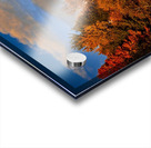 Golden Hour in the Treetops Acrylic print