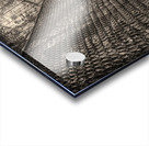 The Path Forward Acrylic print