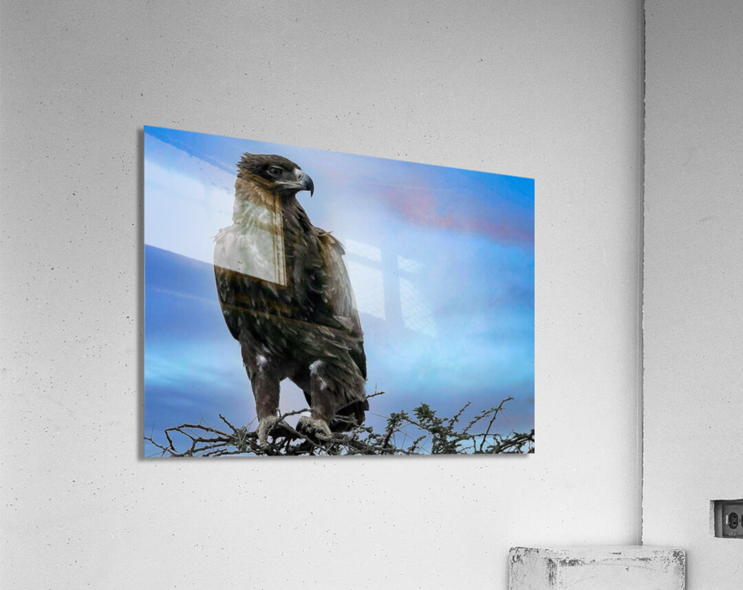 Sky Monarch Impression acrylique