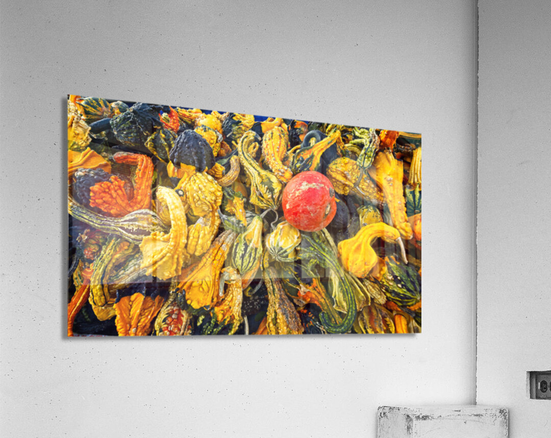 Harvest Chaos Impression acrylique