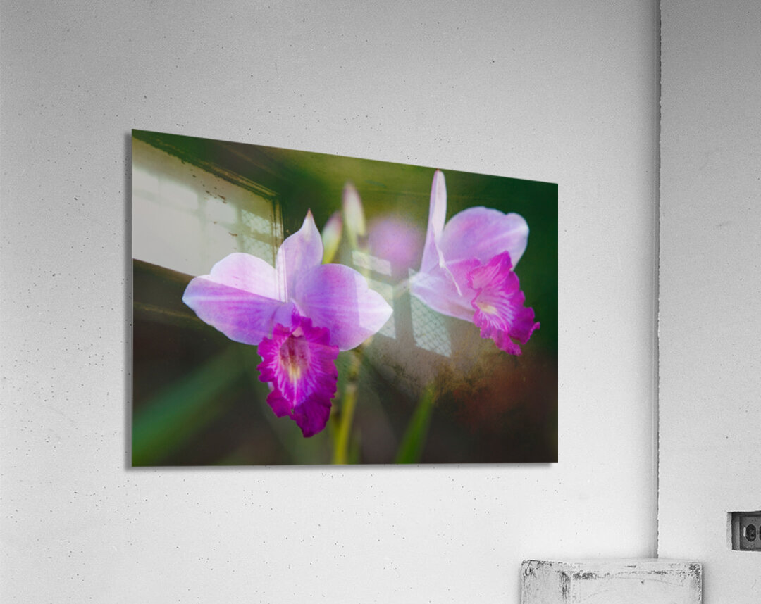 Purple Orchid Pair Impression acrylique