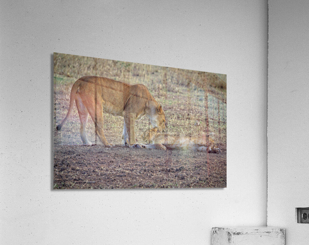 Mother’s Nudge Impression acrylique