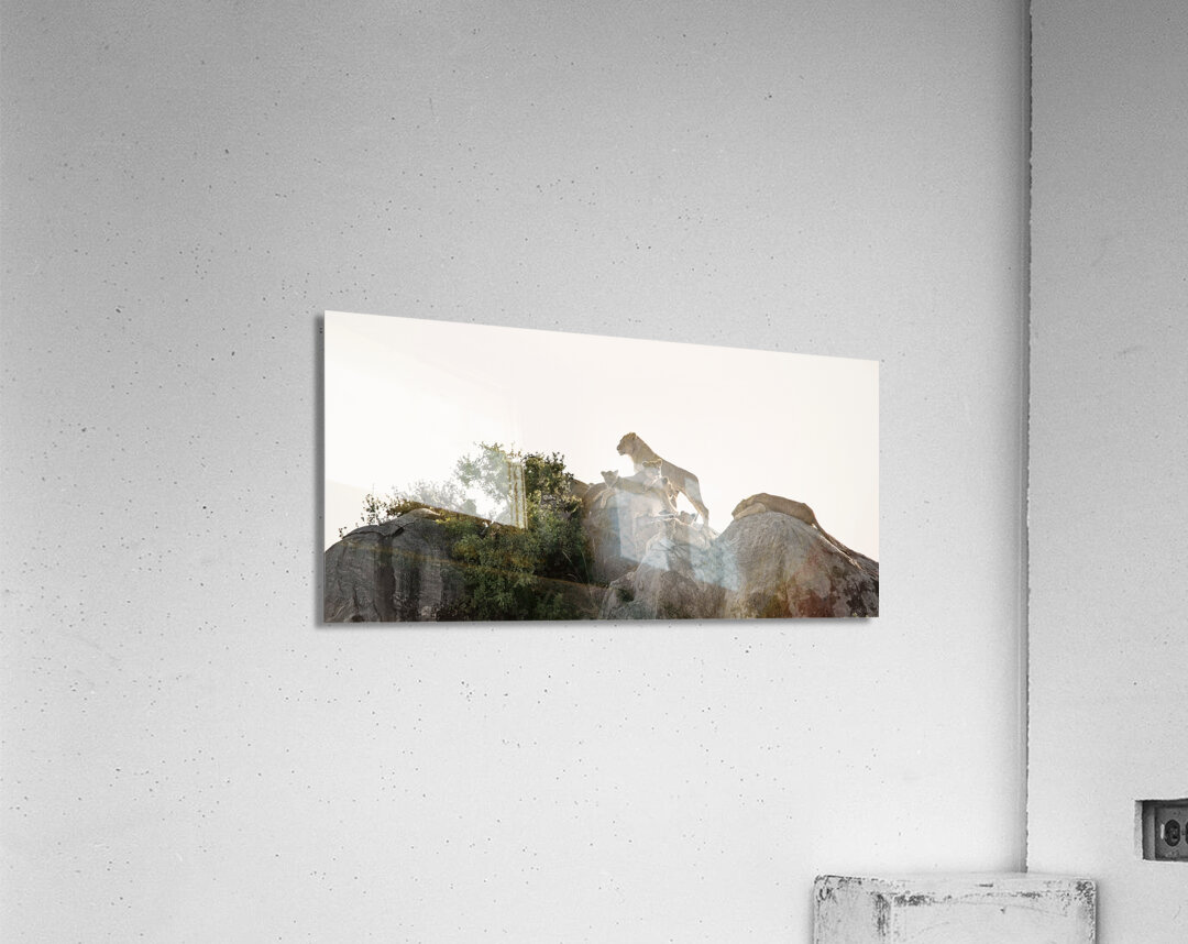 Pride on the Rocks Acrylic Print