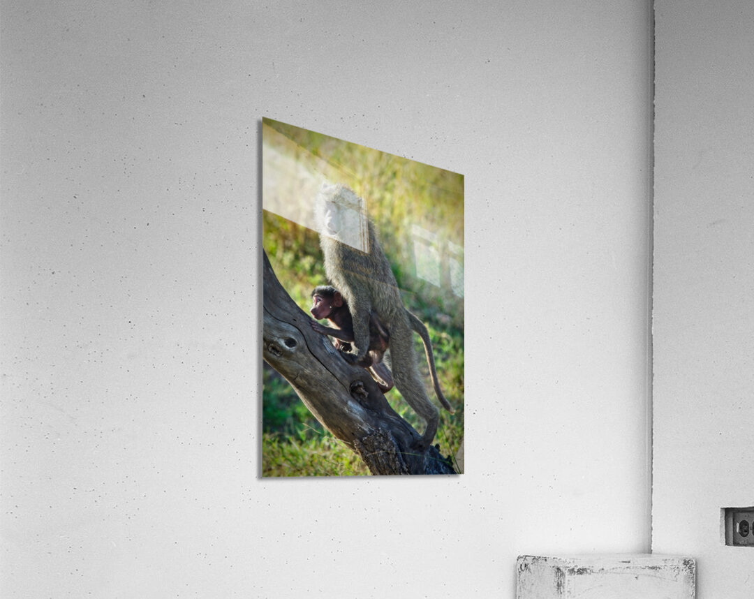 Mother’s Hold Impression acrylique