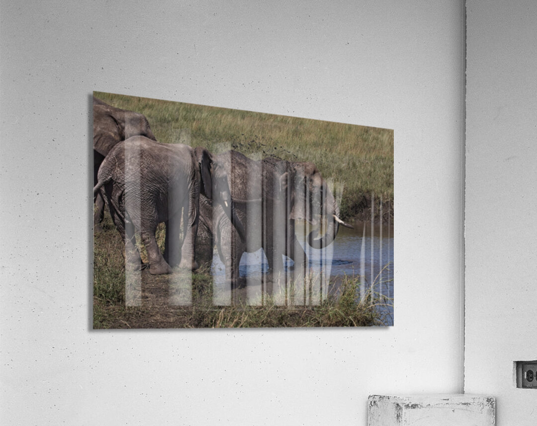 Mud Bath Ritual Impression acrylique