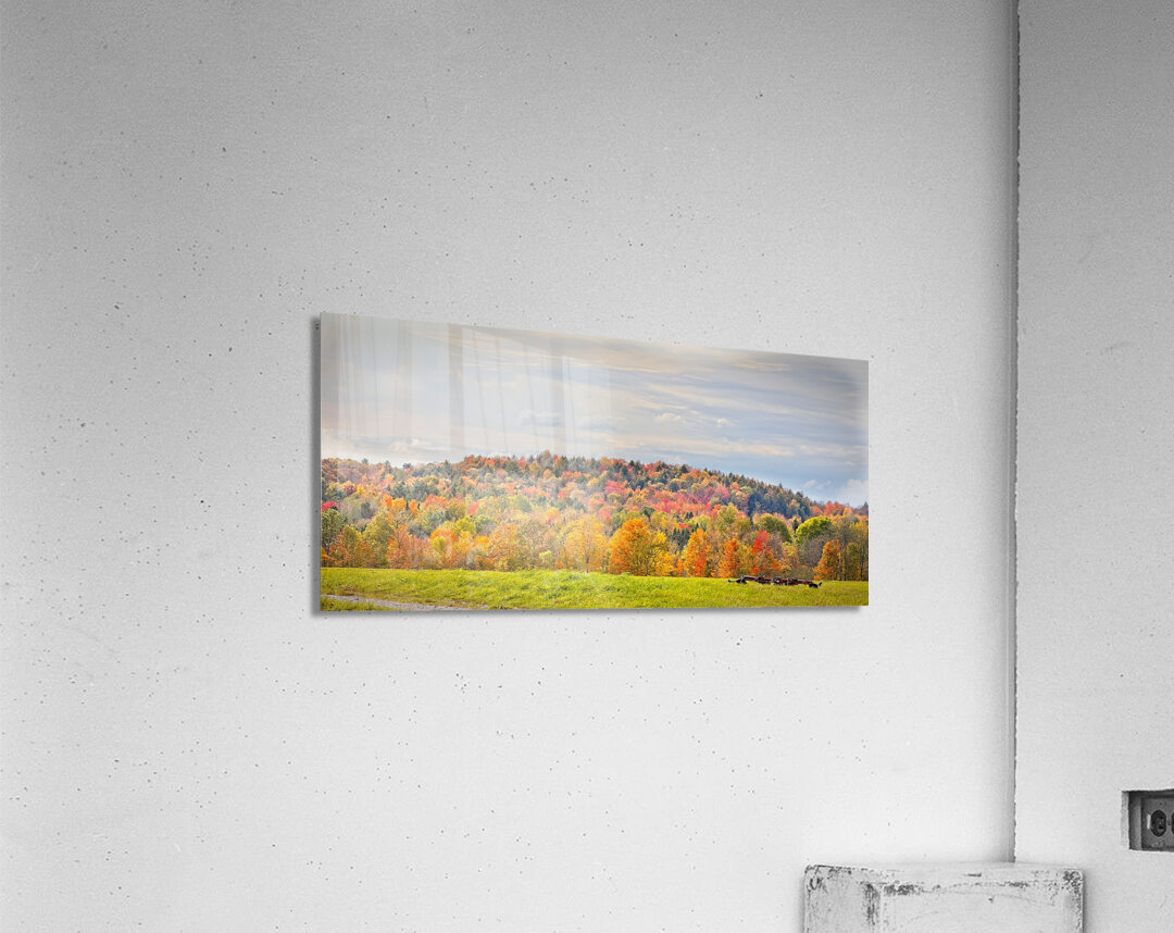  Autumn’s Quiet Meadow Acrylic Print