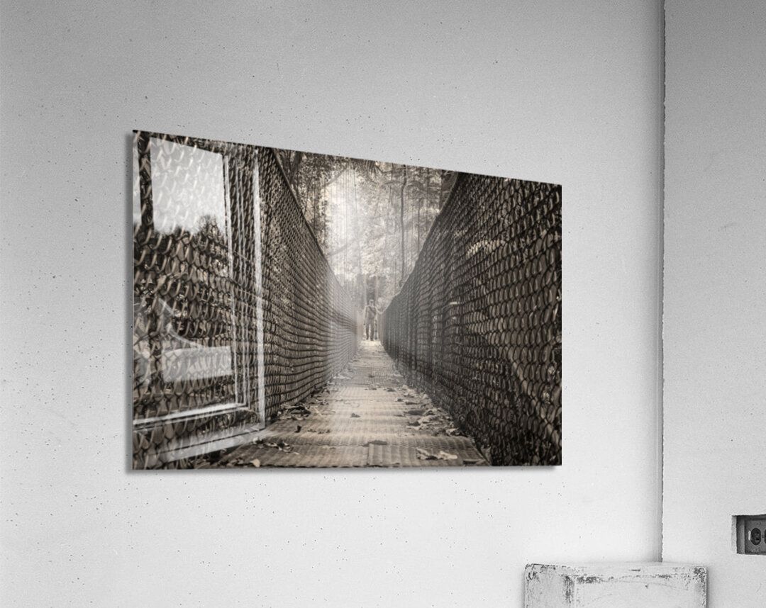 The Path Forward Acrylic Print