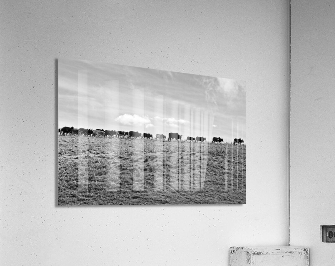 The Long Walk Home Impression acrylique