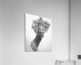 IMG 3613  Acrylic Print