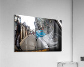 IMG 3954  Acrylic Print