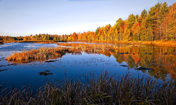 Autumn Reflections Print
