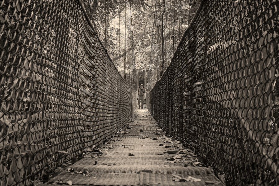 The Path Forward  Print