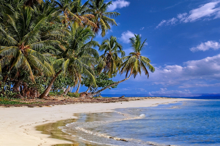 Tropical Shoreline Paradise  Print