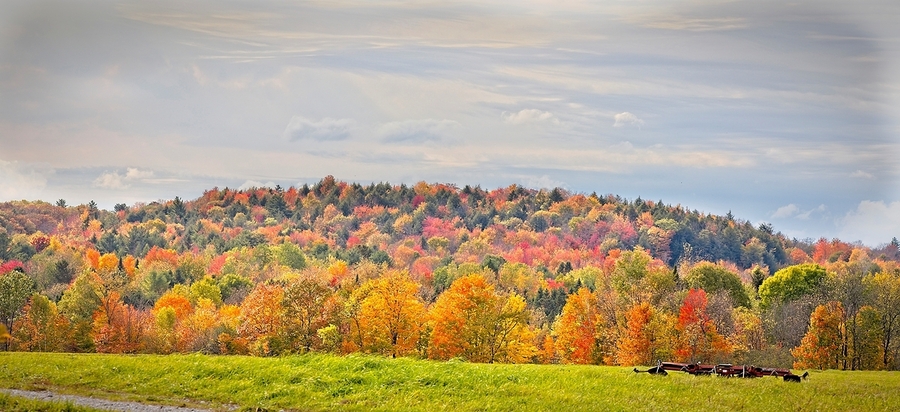  Autumn’s Quiet Meadow  Print