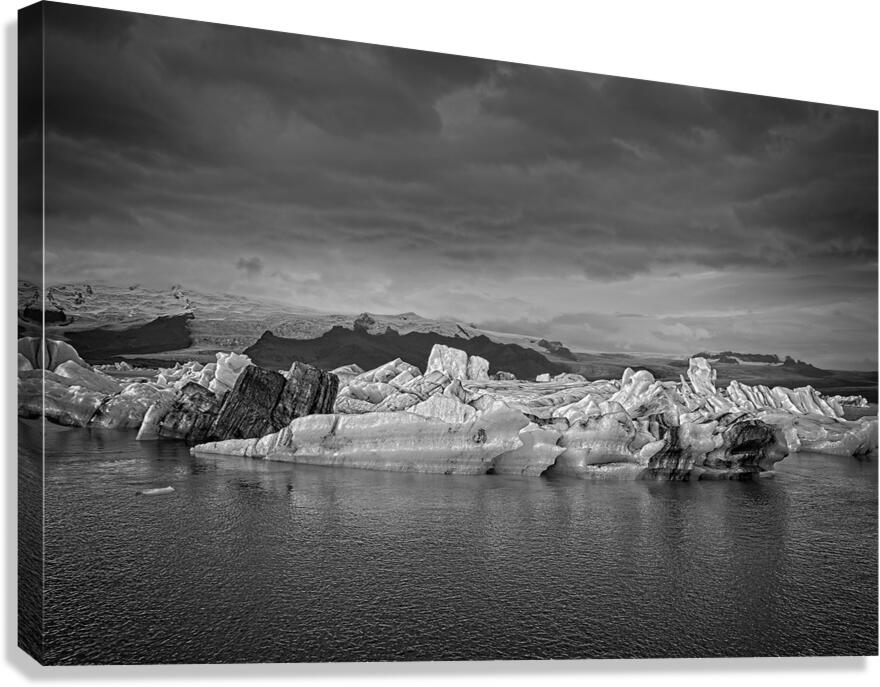  DSC6543  Canvas Print