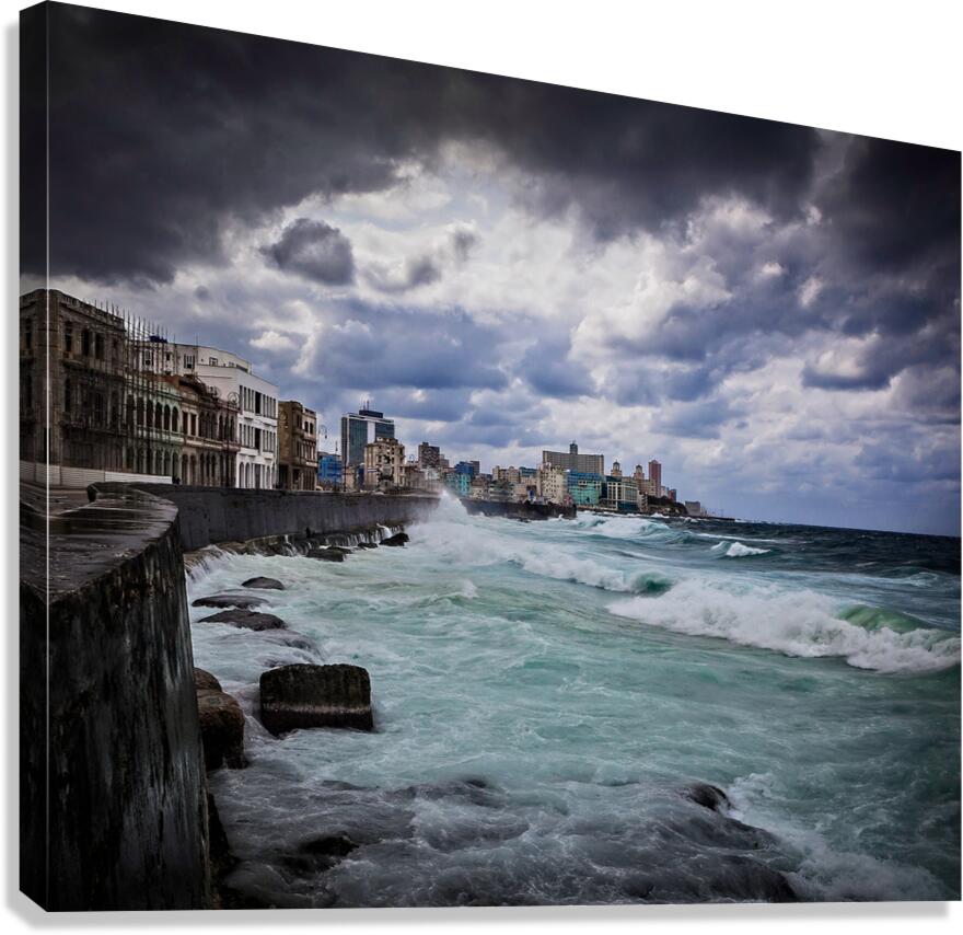 IMG 3807  Canvas Print