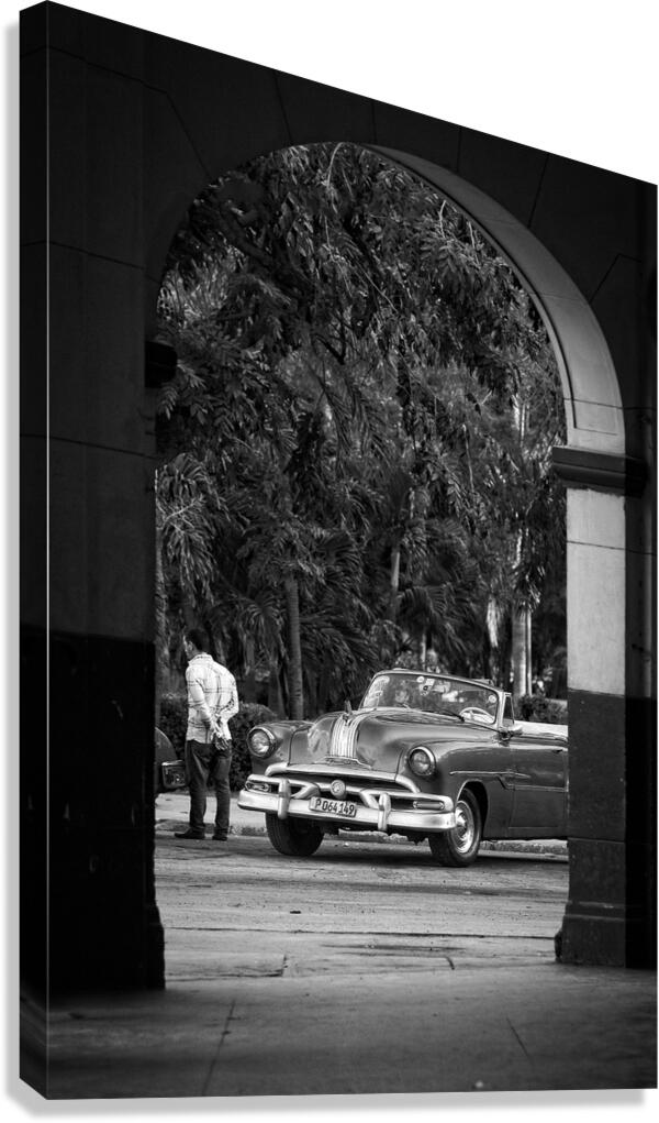 IMG 0015  Canvas Print