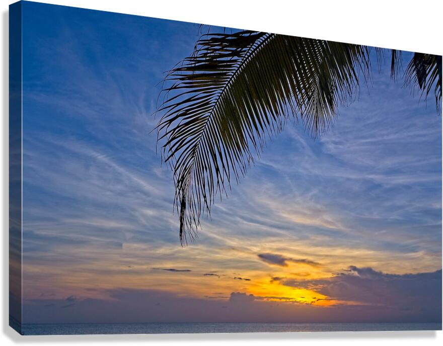 Palm-Framed Sunset Canvas Print