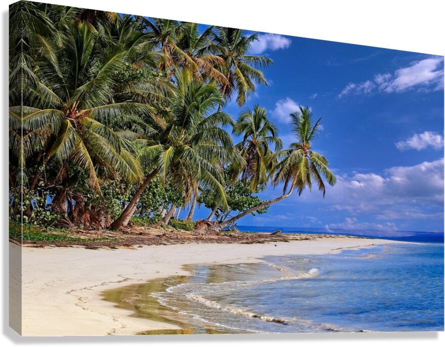 Tropical Shoreline Paradise Canvas Print