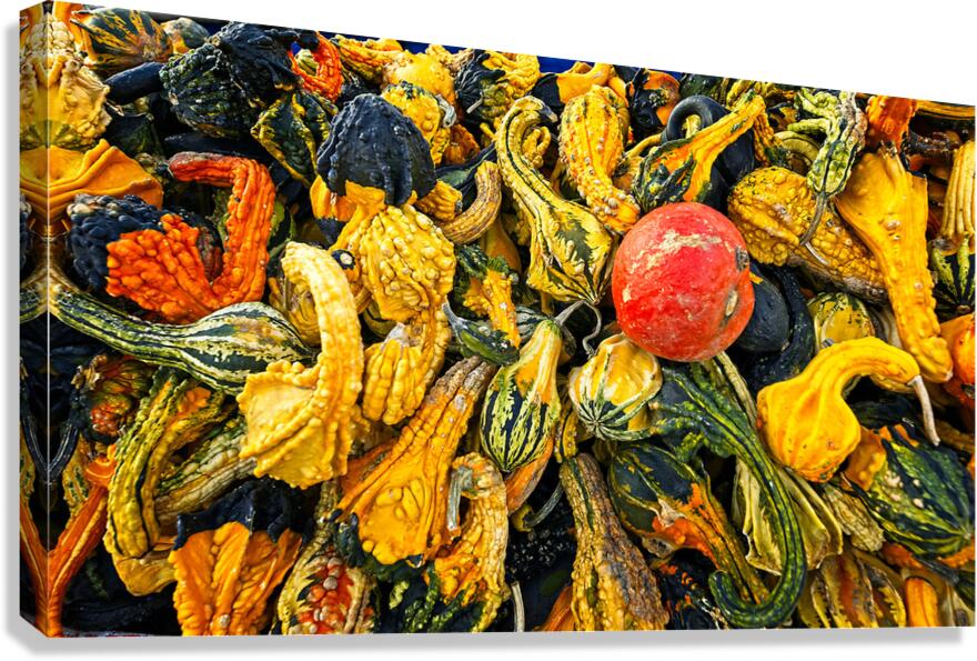 Harvest Chaos Canvas Print