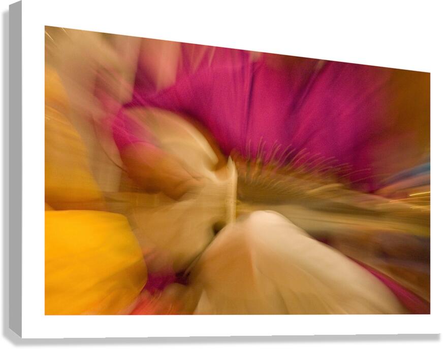 Music in Motion Canvas Print