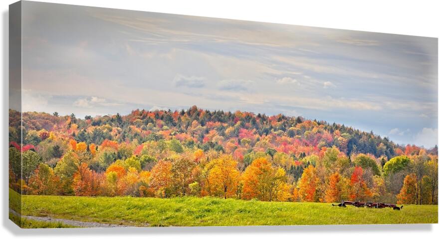  Autumn’s Quiet Meadow Canvas Print