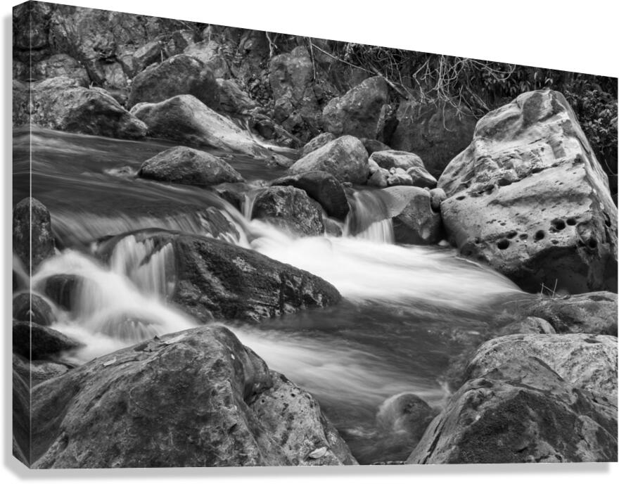 Nature’s Soft Flow Canvas Print