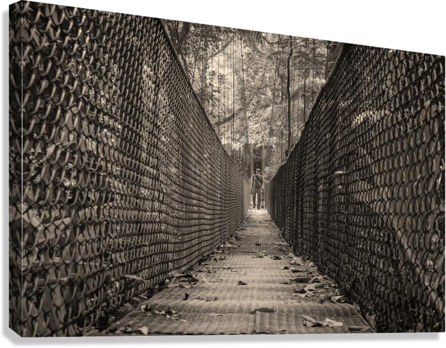 The Path Forward Canvas Print