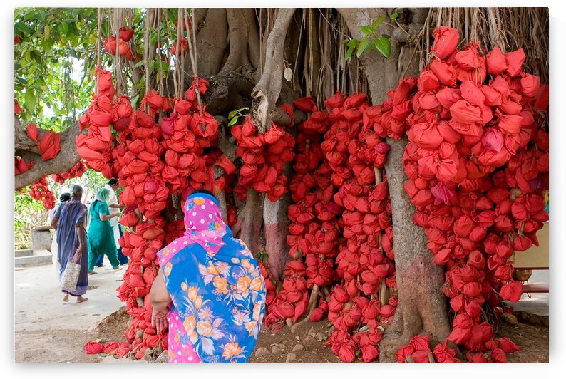 Wishes in Red by Chirag Pandya