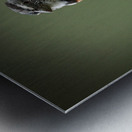 Perched in the Green Mist Impression metal