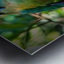 Jungle Jewel Metal print