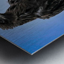 Sky Monarch Impression metal