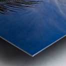 Palm-Framed Sunset Impression metal