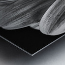 Bloom Impression metal