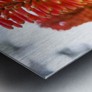 Fire Dance Bloom Impression metal